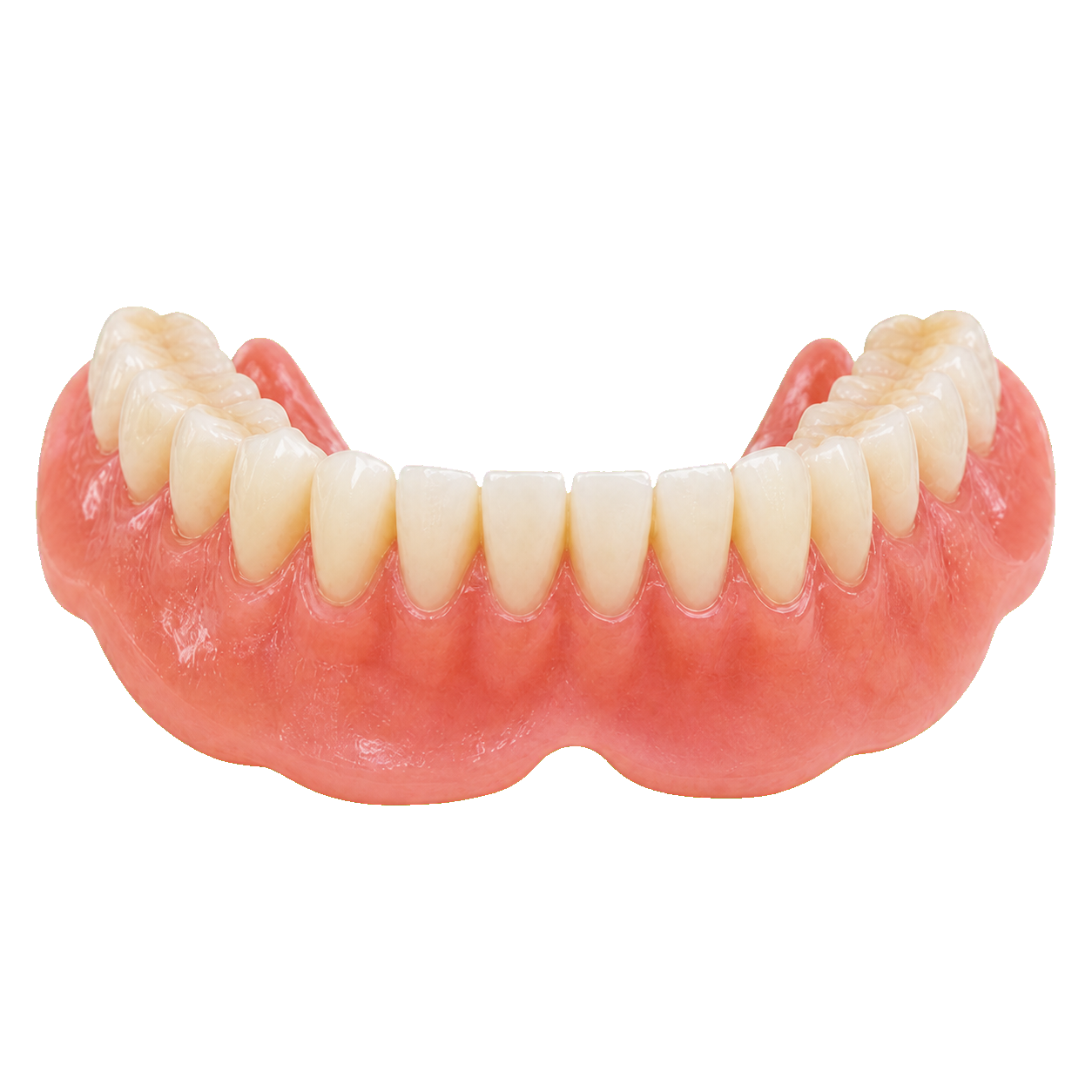 Parte inferior de prótese dentária